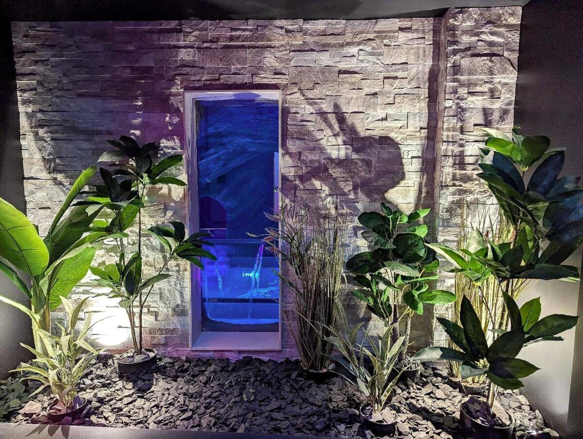 Autre vue interieure - Les Secrets du Castle - le loft - Epfig