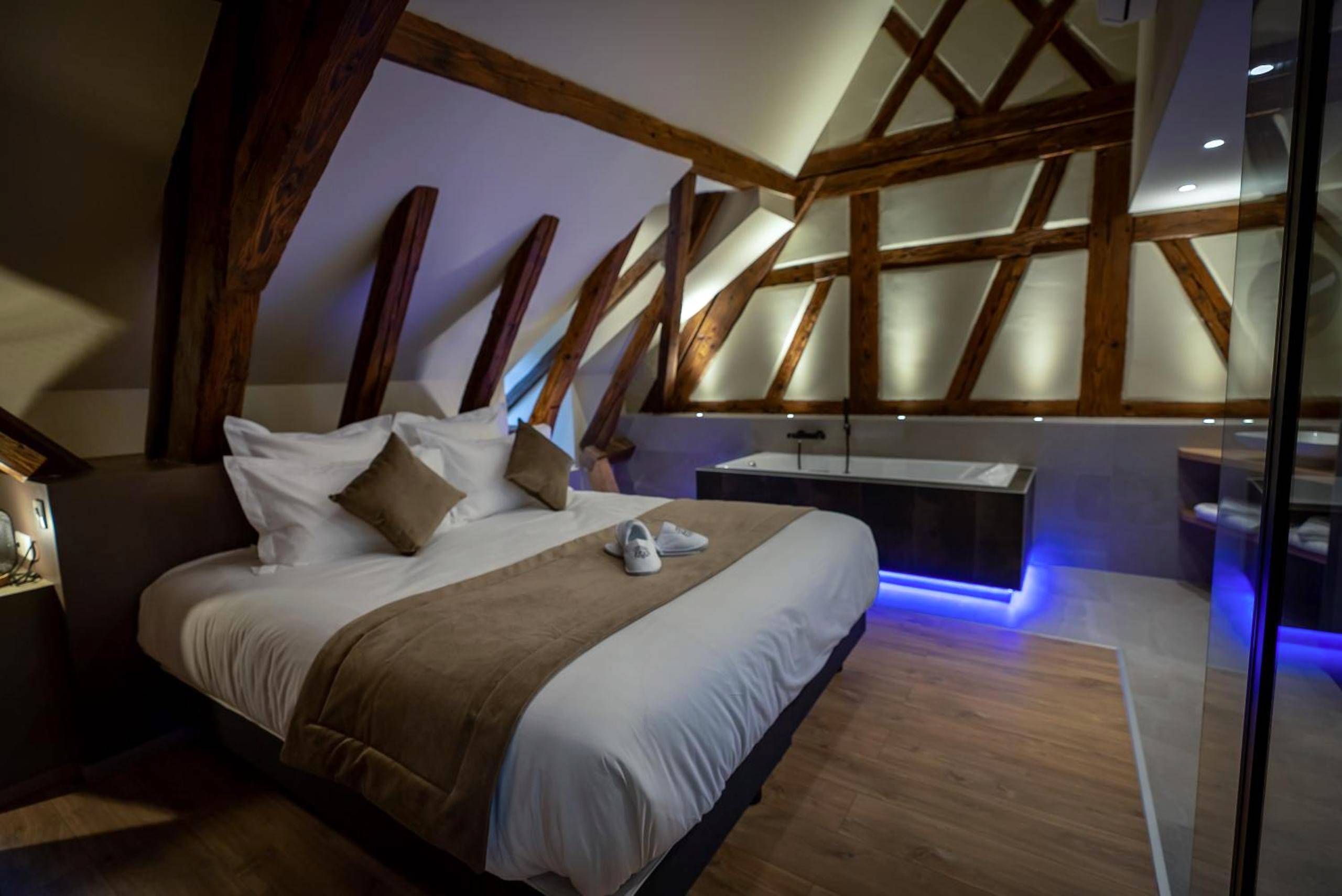 Photo du logement - SERENITY Colmar - Gîtes de Prestige 4 et 5 étoiles - 2, 4 et 6 personnes - Centre Historique