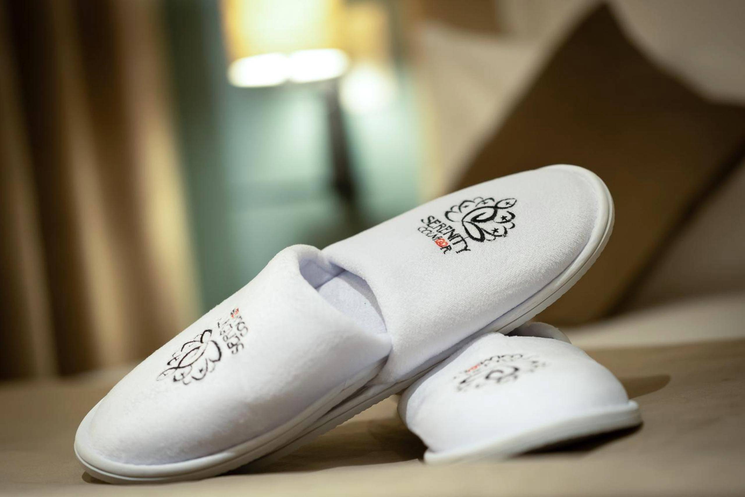 Photo du logement - SERENITY Colmar - Gîtes de Prestige 4 et 5 étoiles - 2, 4 et 6 personnes - Centre Historique - Colmar