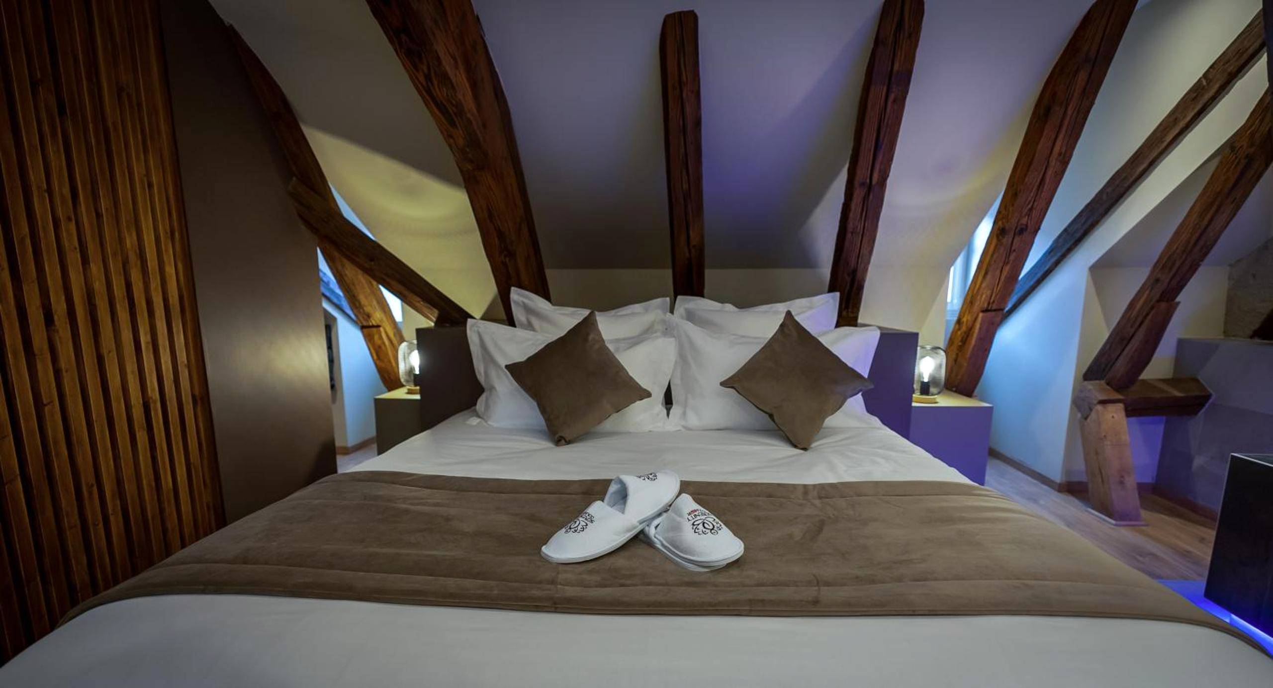 Photo du logement - SERENITY Colmar - Gîtes de Prestige 4 et 5 étoiles - 2, 4 et 6 personnes - Centre Historique - Colmar