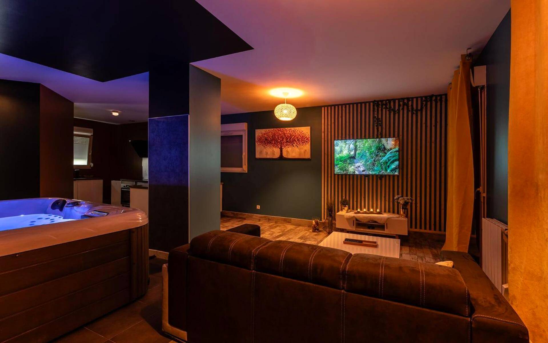 Salon avec canapé, télévision et jacuzzi - La Somptueuse 100m2 Spa/Sauna privé