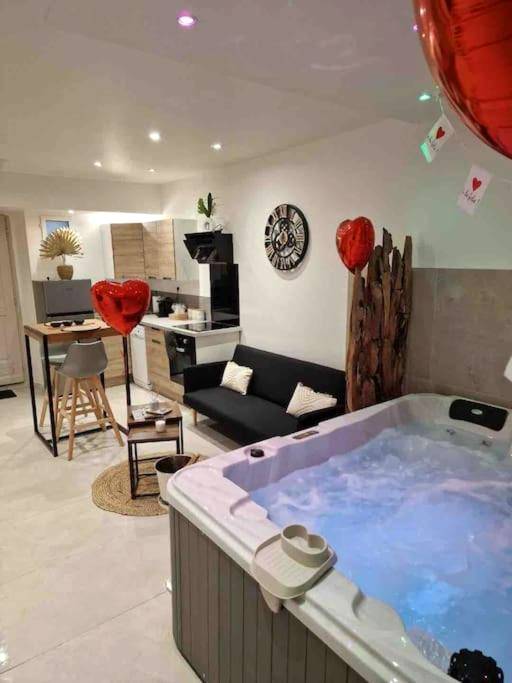 Photo du logement - Appartement - Spa