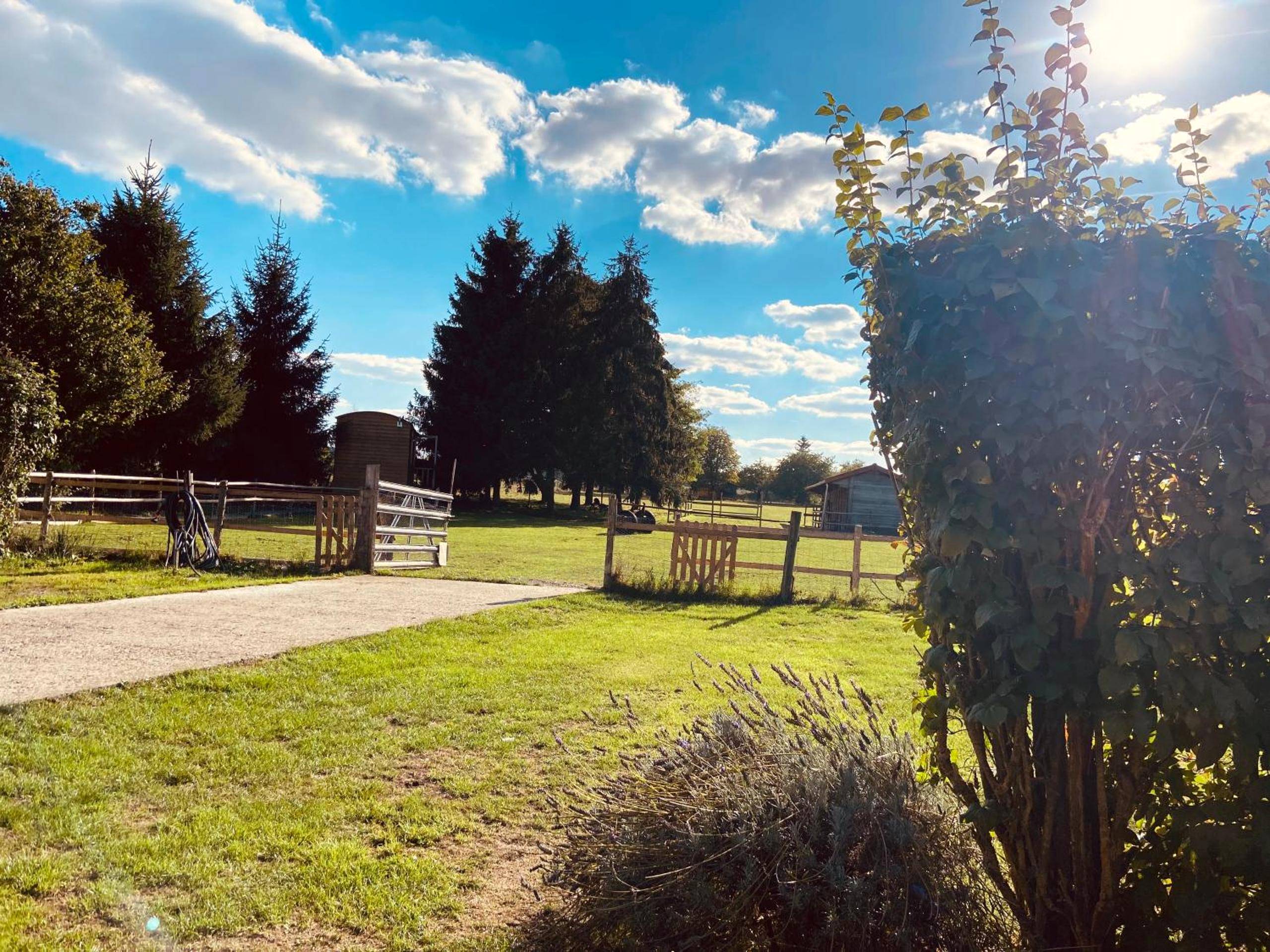 Photo du logement - Chambre avec spa privé