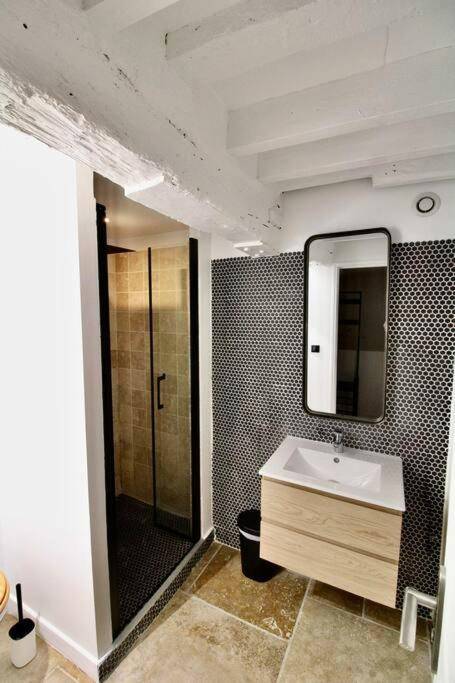 Photo du logement - Le Spa Beauvoisine - Jacuzzi Sauna Rouen centre Free parking