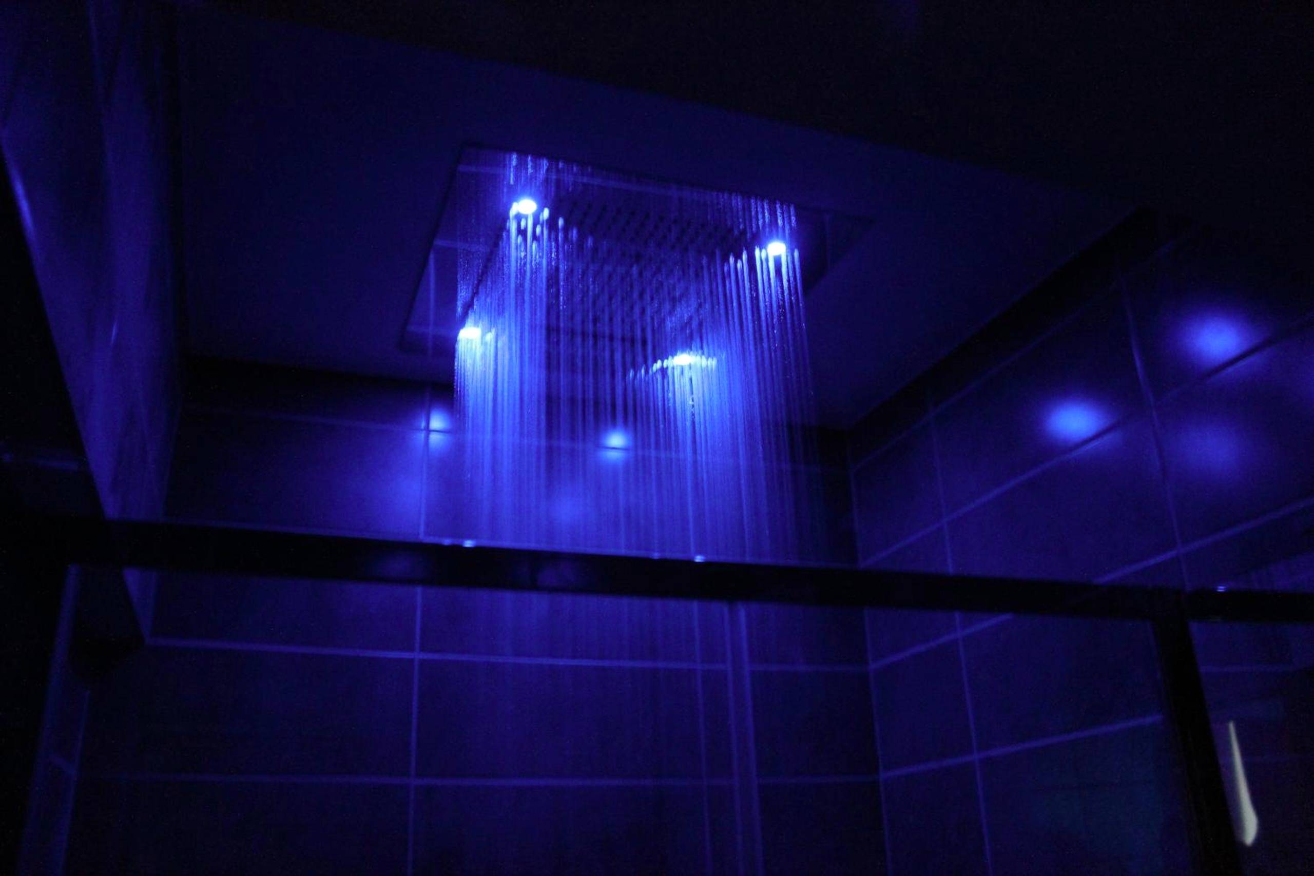 Photo du logement - Spa - privatif - Dijon