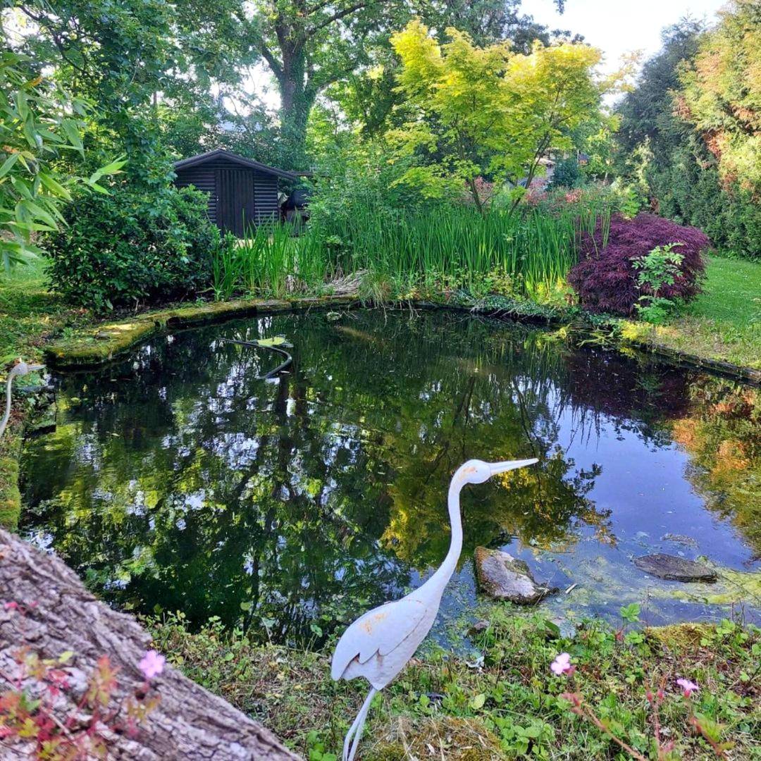 Photo du logement - Le Spa du Cabanon: Cabanon de luxe avec Spa entièrement privatif