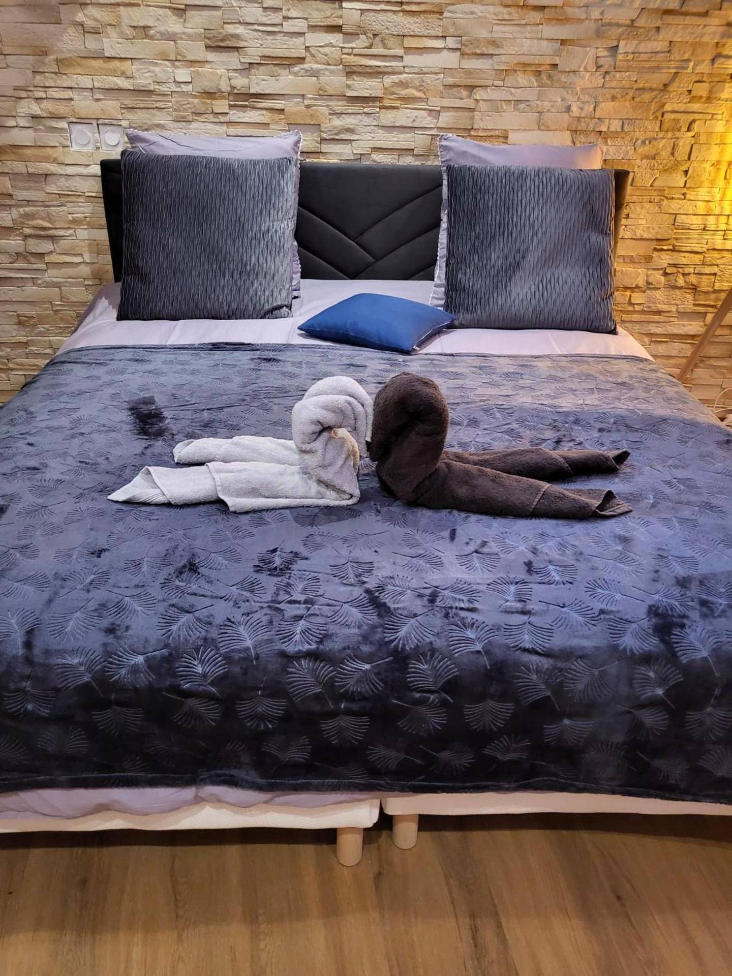 Photo du logement - Le Spa de la Cathédrale - Jacuzzi - Sauna - Champagne - Netflix - Wifi