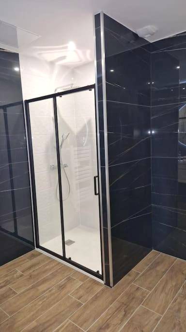Douche à l'italienne avec parois noires - Spa des ducs loft 1