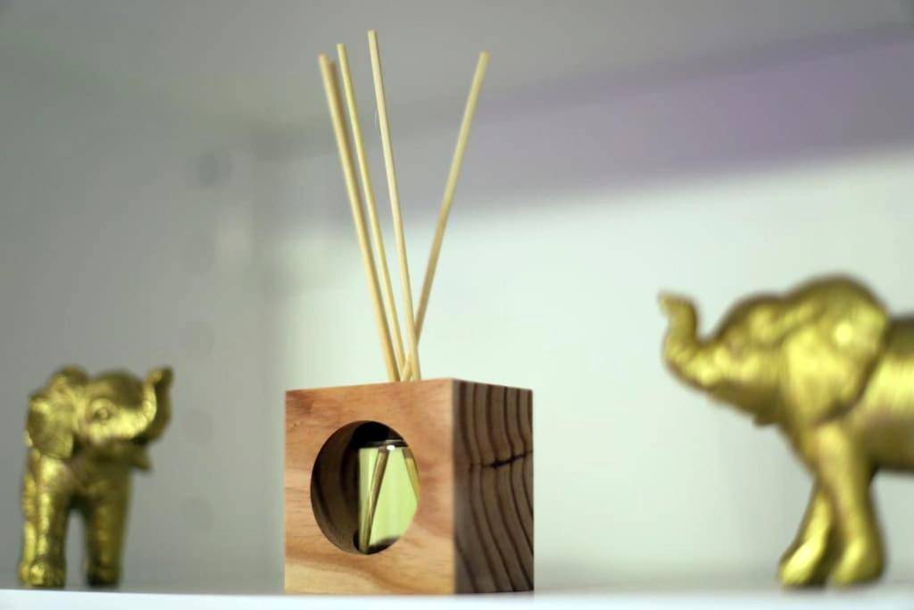 Photo du logement - Spa Appartement Jacuzzi Privé Strasbourg - Strasbourg