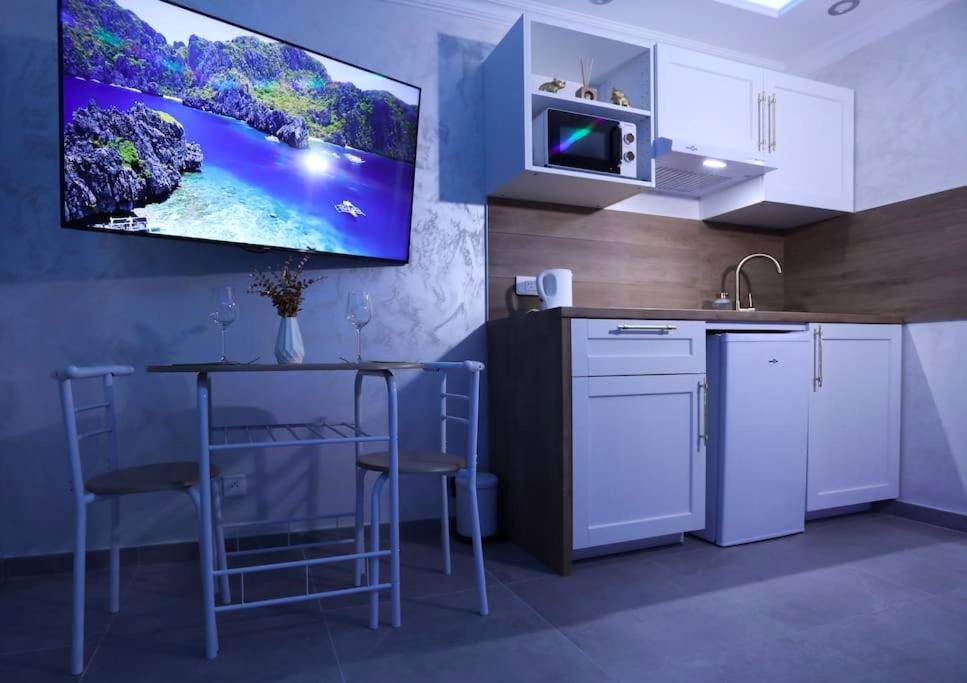 Photo du logement - Spa Appartement Jacuzzi Privé Strasbourg - Strasbourg