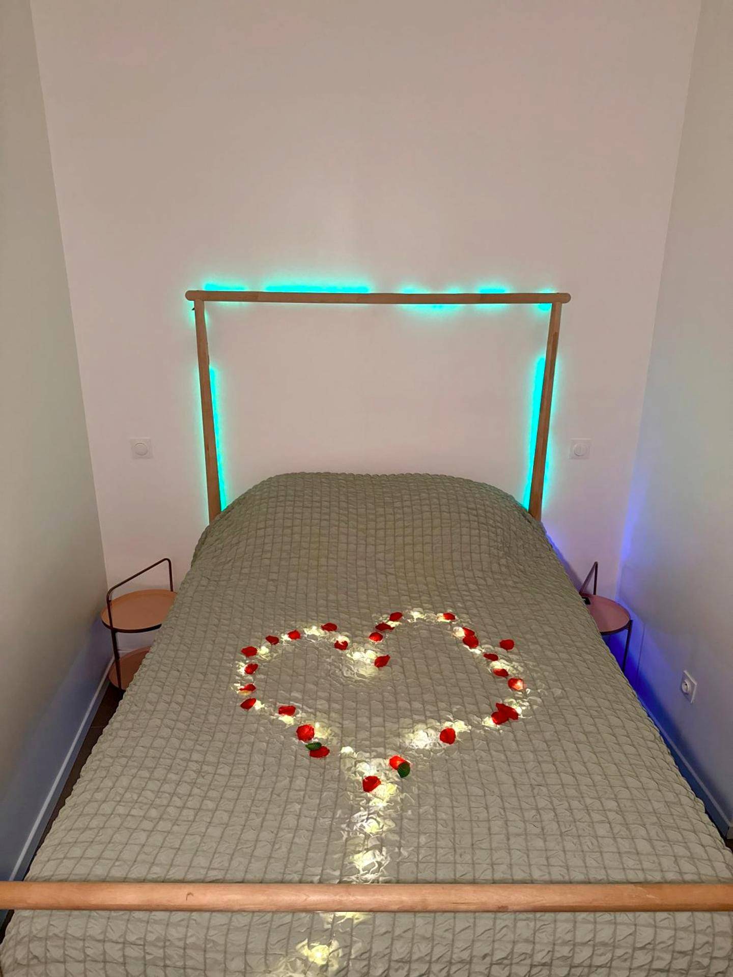 Photo du logement - SPA JUNGLE