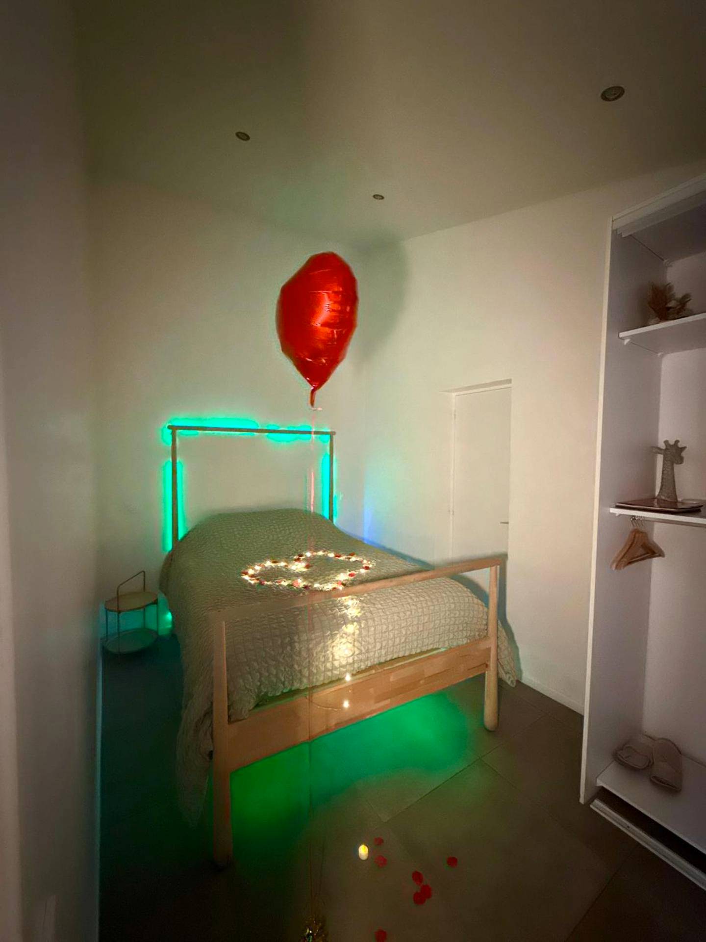 Photo du logement - SPA JUNGLE