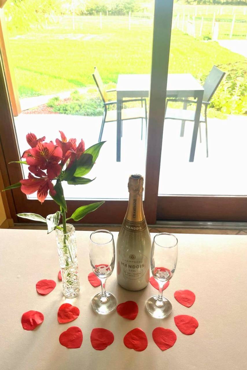 Photo du logement - Le petit SPA dans le Quercy