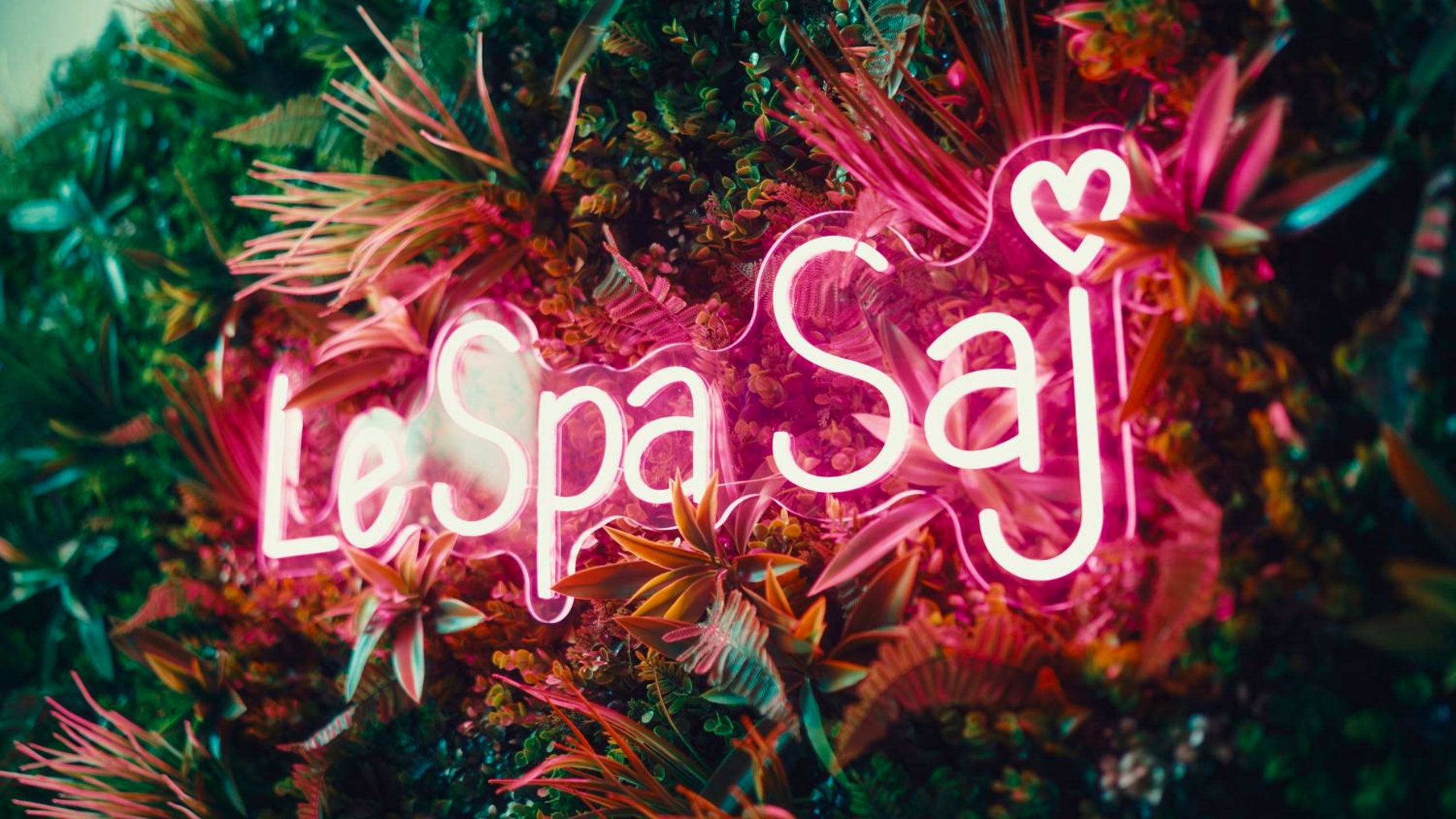 Photo du logement - Le Spa SAJ