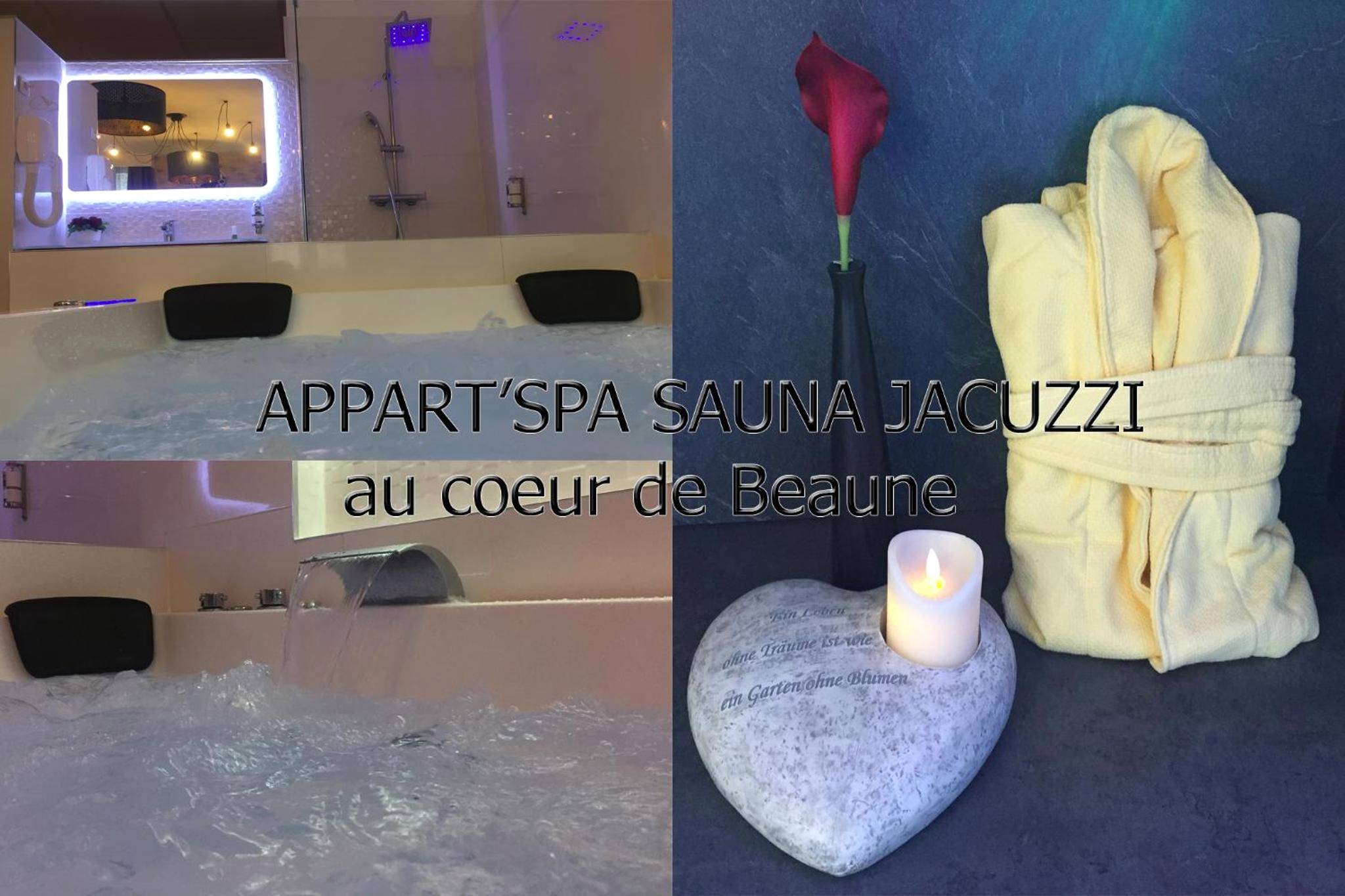 Photo du logement - Appart' Spa et Sauna Privatif Au Cœur De Beaune - Beaune