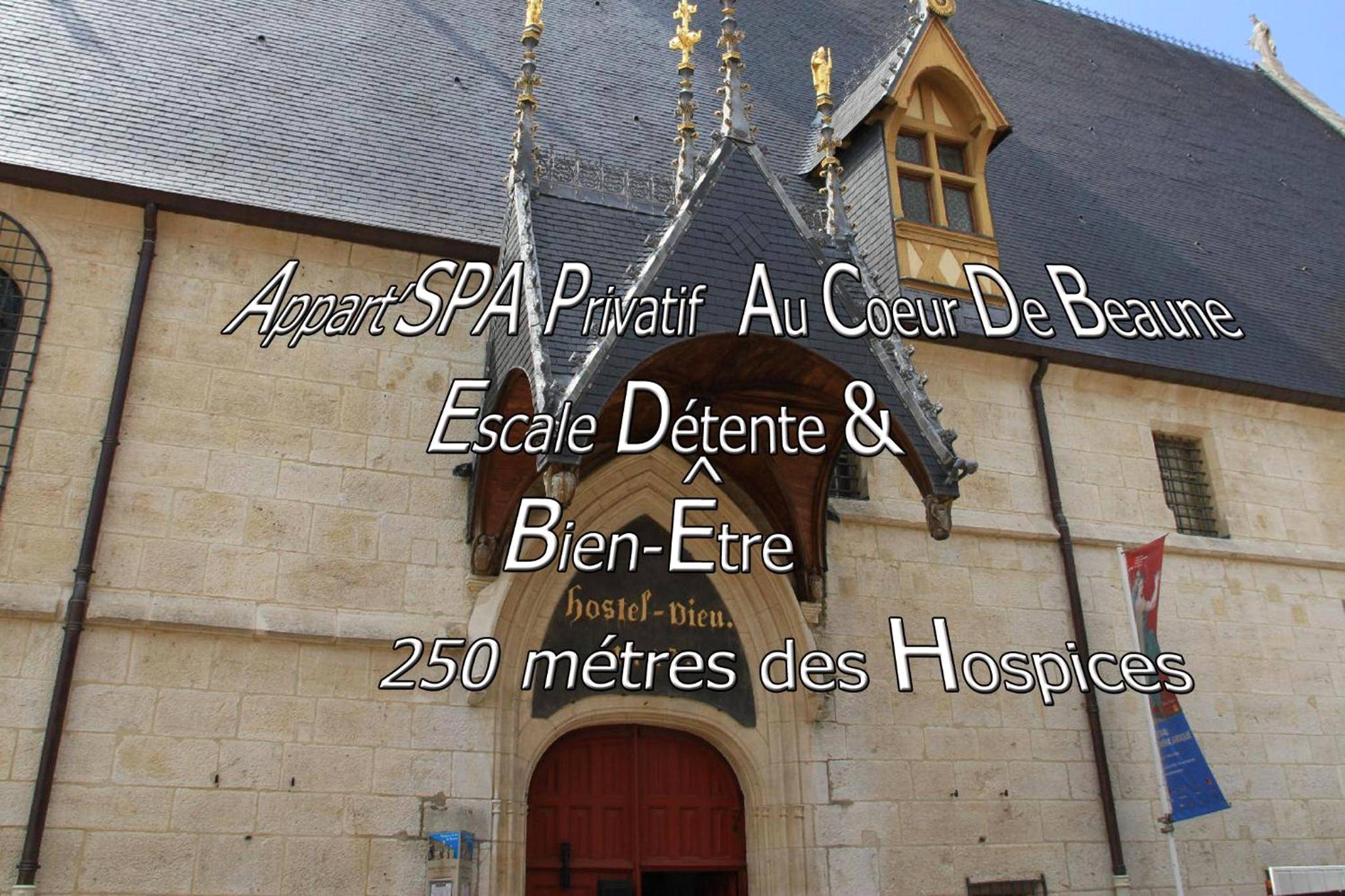 Photo du logement - Appart' Spa et Sauna Privatif Au Cœur De Beaune