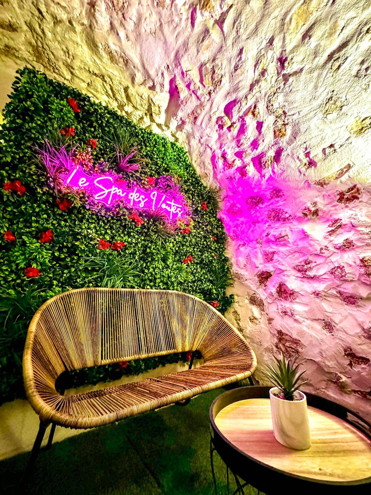 Espace détente avec mur végétal... - Love Room Saint - Maximin - la - Sainte - Baume - Intimiste retraite de Sainte -...