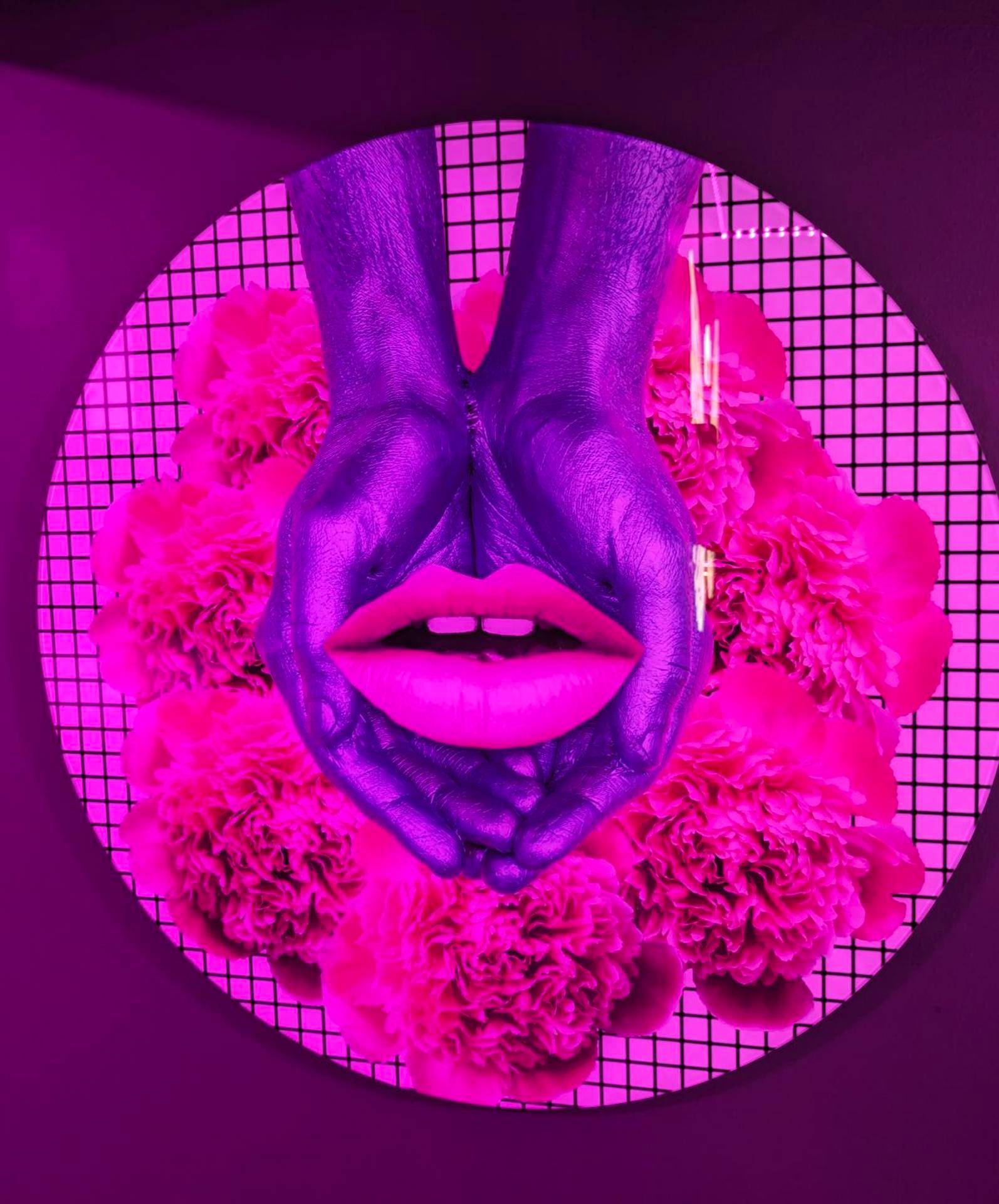 Photo du logement - Le Spacidulé - Valenciennes