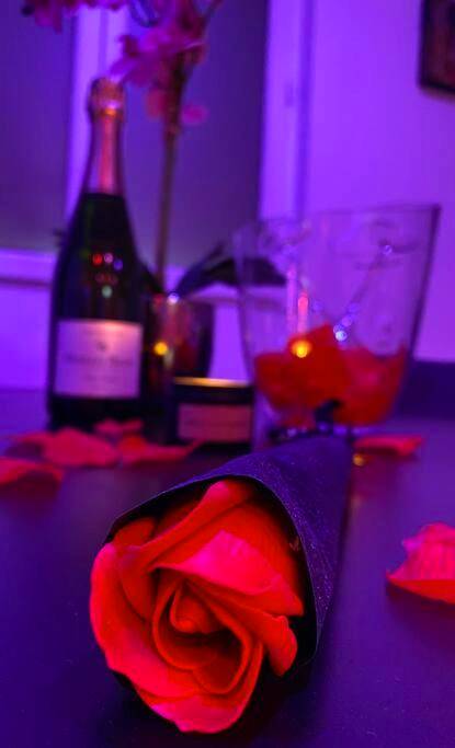 Photo du logement - Spamoureux EPINAY - Épinay - sous - Sénart