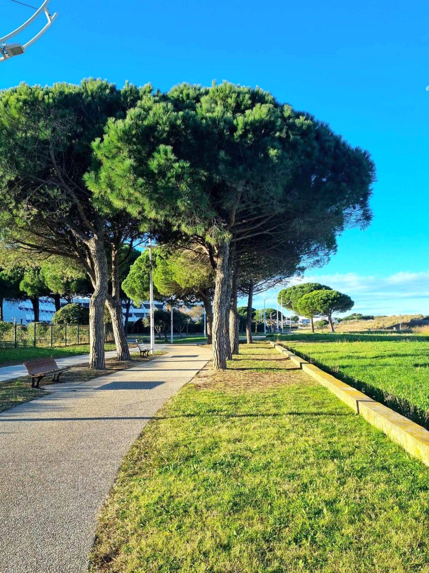 Photo du logement - Les Spas de la Mer, Appart&Spa Aloha, 100m de la plage, Plein cœur du Grau