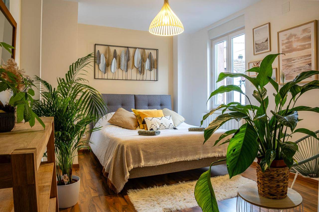 Chambre lumineuse avec décoration végétale - Appartement Standing piscine intérieur privatisée .