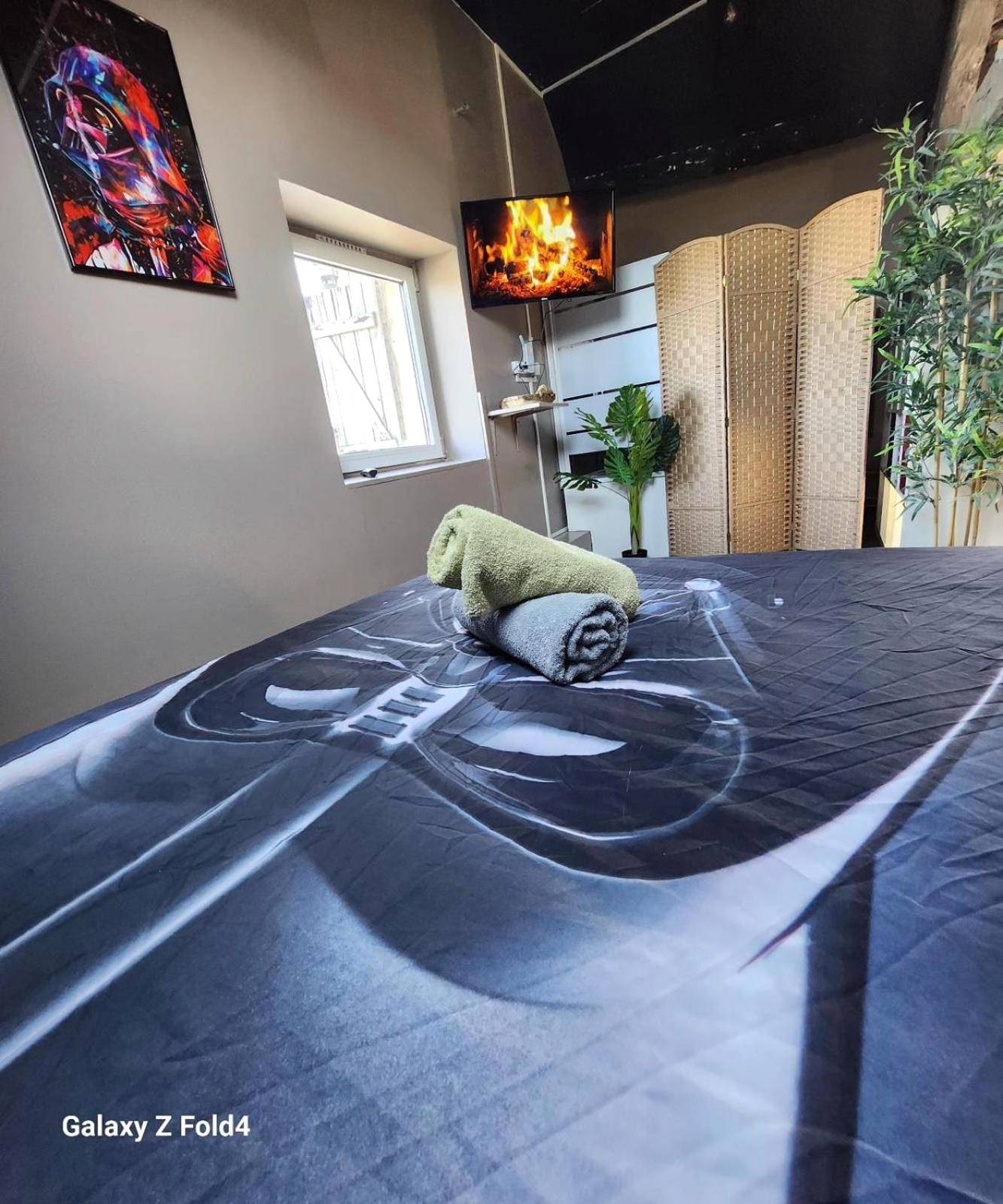 Photo du logement - StarWars SAUNA Jacuzzi balneo à 10 minutes de Disneyland