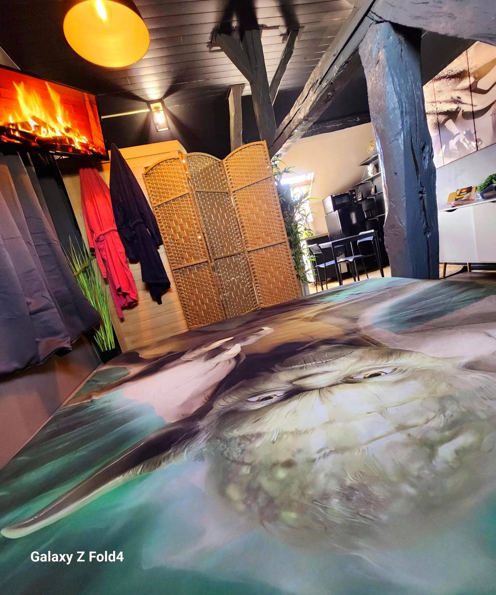 Photo du logement - StarWars SAUNA Jacuzzi balneo à 10 minutes de Disneyland