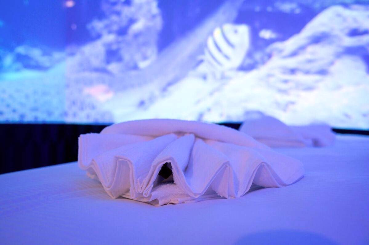 Photo du logement - Studio Immersif Jaccuzi & Cinéma Disney et Astérix - Messy