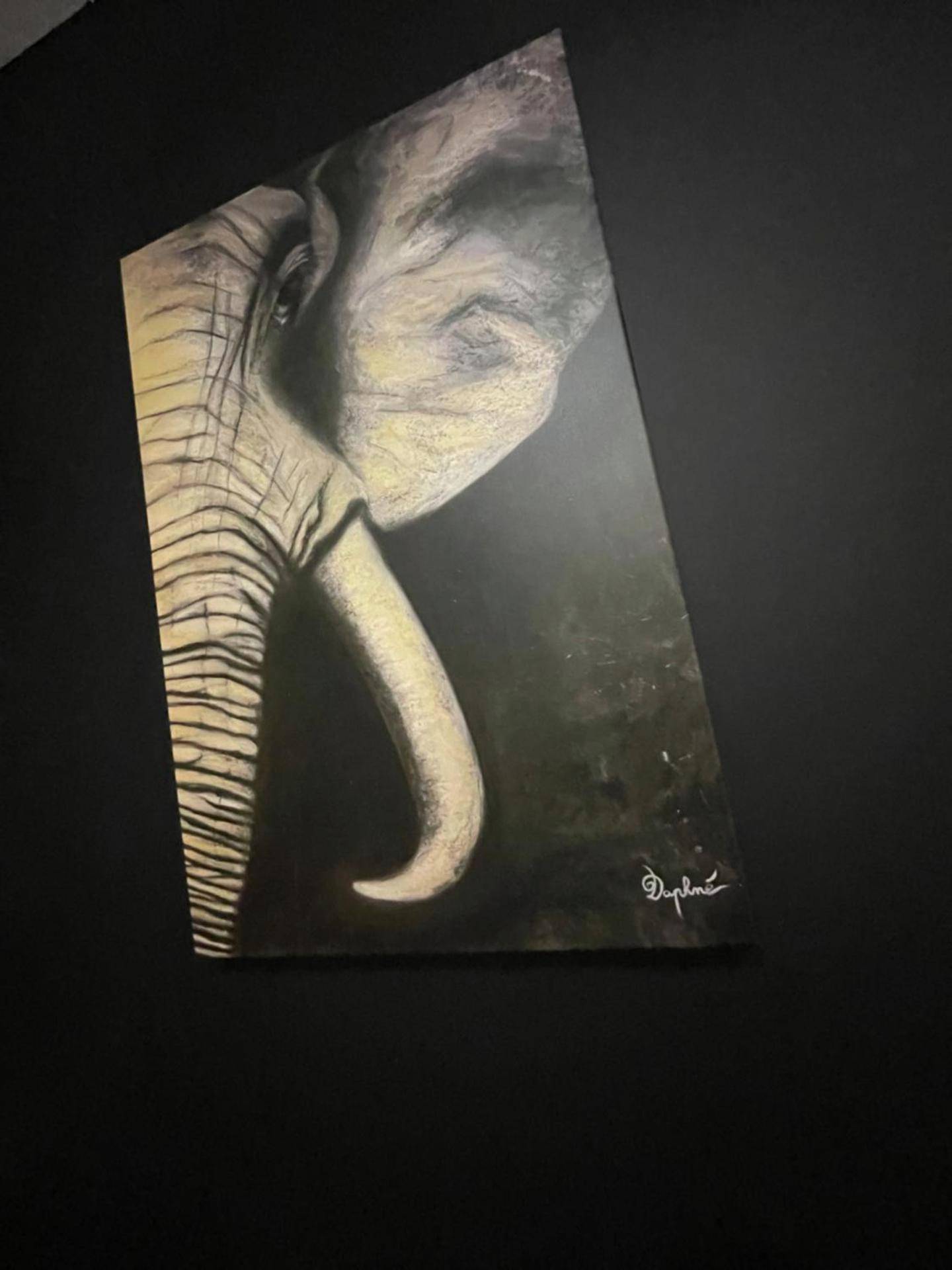 Photo du logement - Studio M romantisme et élégance