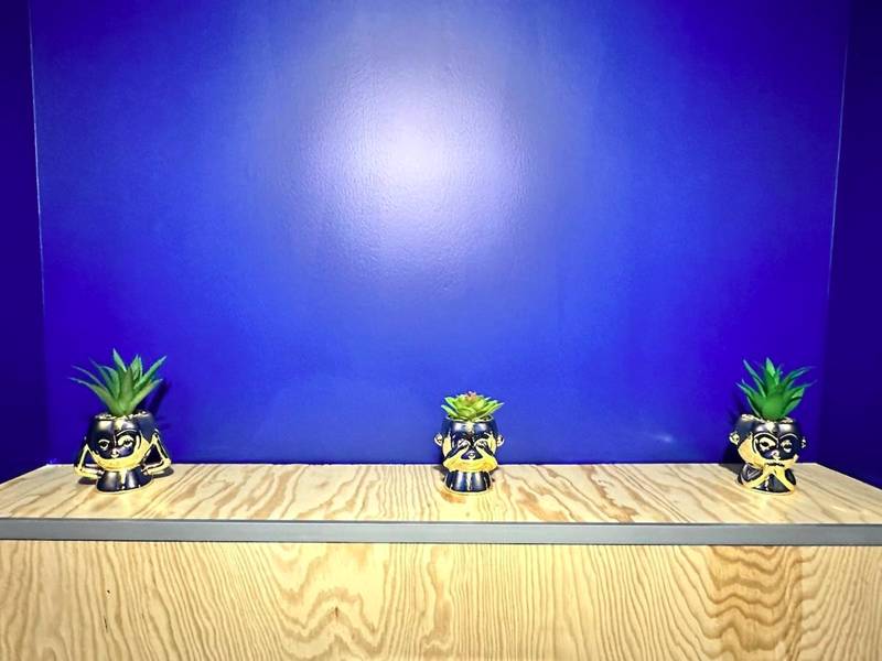 Photo du logement - Le studio secret