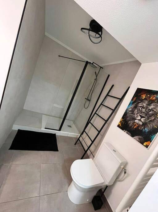 Salle d'eau avec douche à l'italienne et WC - La suite