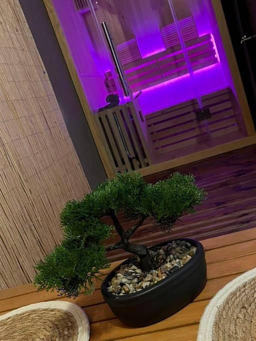 Sauna infrarouge avec éclairage violet - La suite