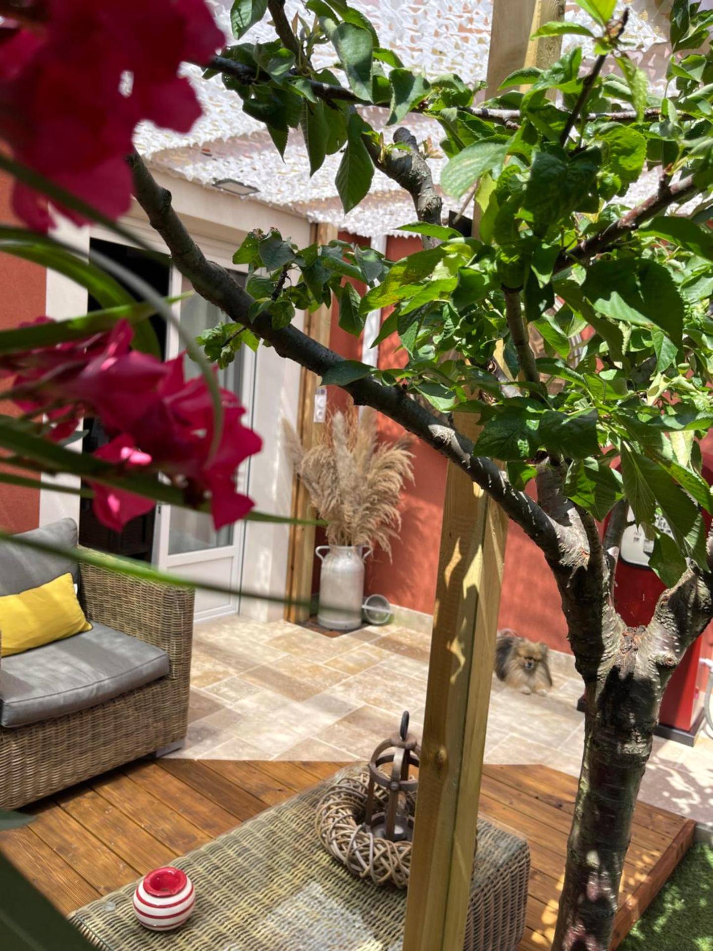 Photo du logement - SUITE 785 Chambre Jacuzzi Sauna - Montauban