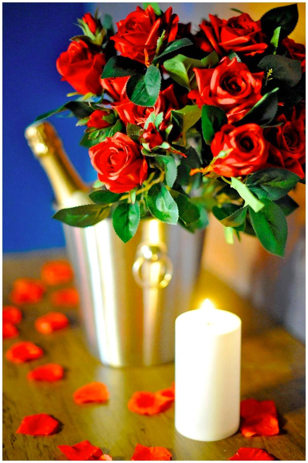 Photo du logement - La Suite 7ième ciel étoilé, SPA XXL, Lit sous les étoiles, 5 min centre