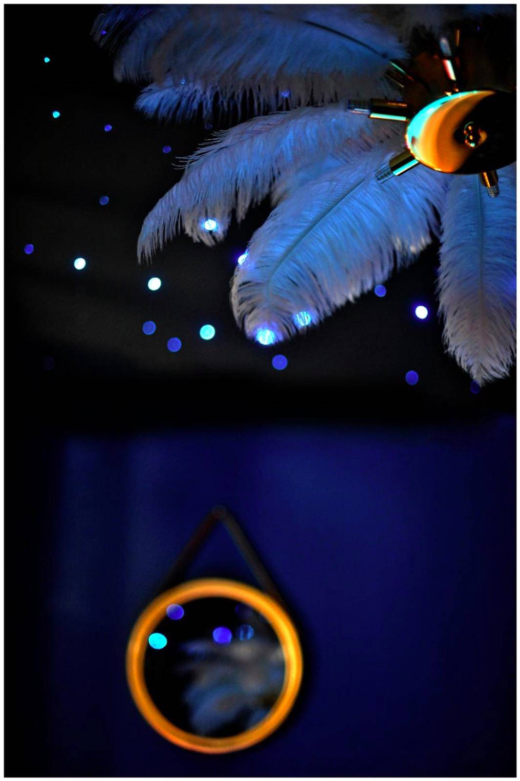 Photo du logement - La Suite 7ième ciel étoilé, SPA XXL, Lit sous les étoiles, 5 min centre - Bourgoin - Jallieu