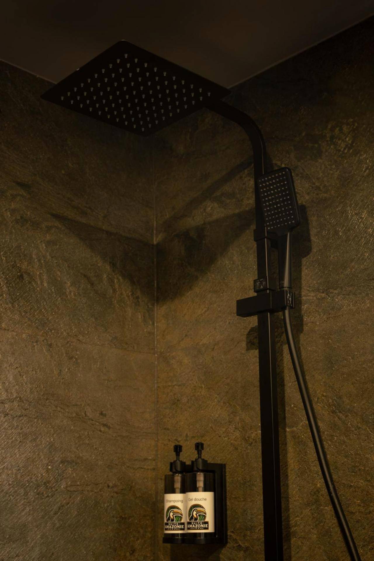 Photo du logement - Suite Amazonie de luxe avec balnéo