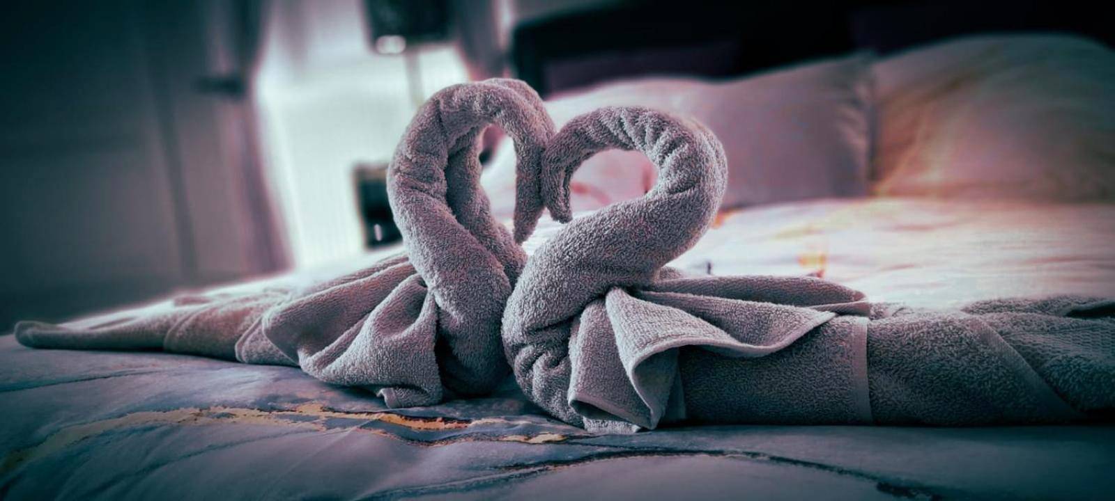 Vue du logement - Love Room Carcassonne - Suite Romantique La Charmante