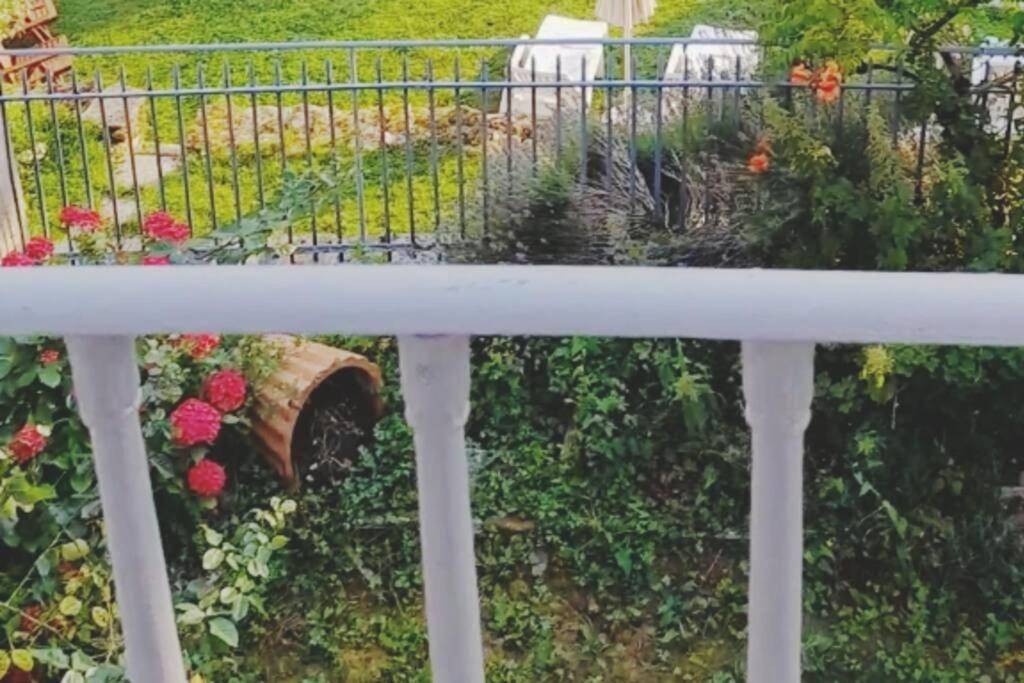 Photo du logement - Suite Romantique La Charmante - Carcassonne