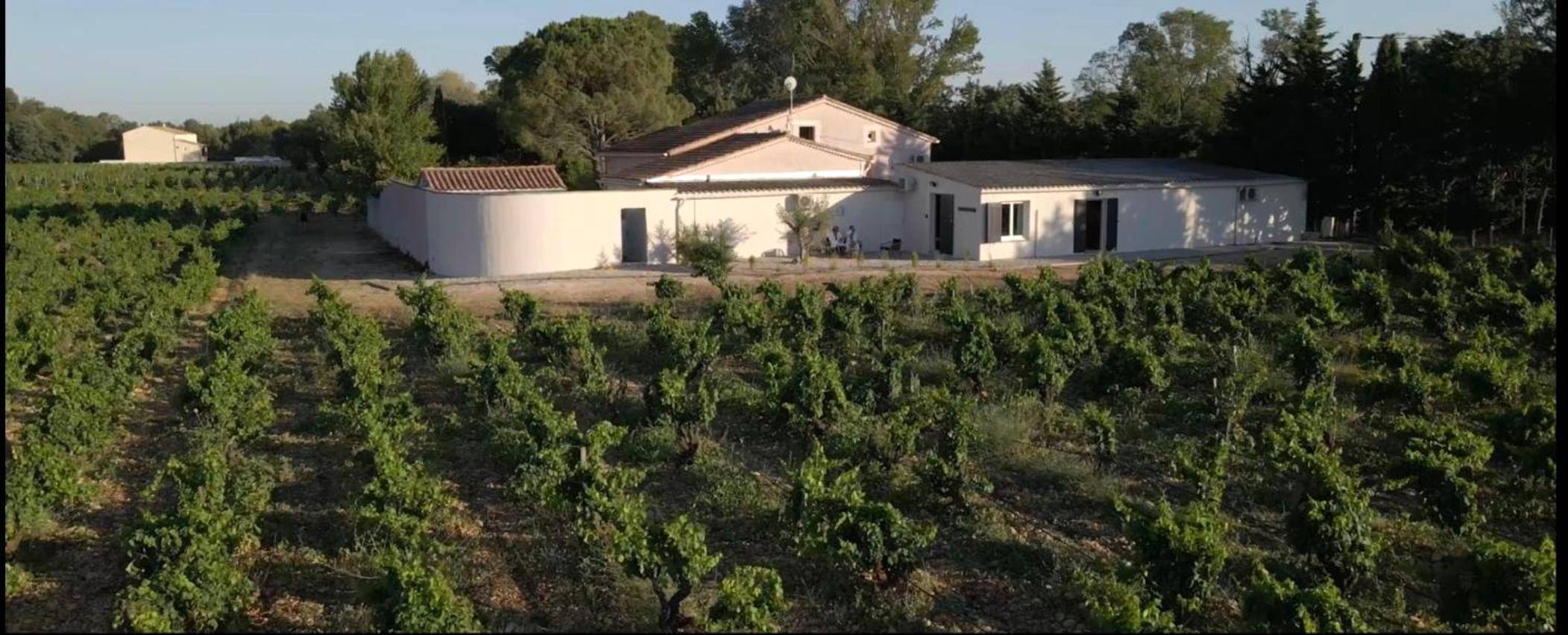 Photo du logement - Suite évasion au cœur des vignes