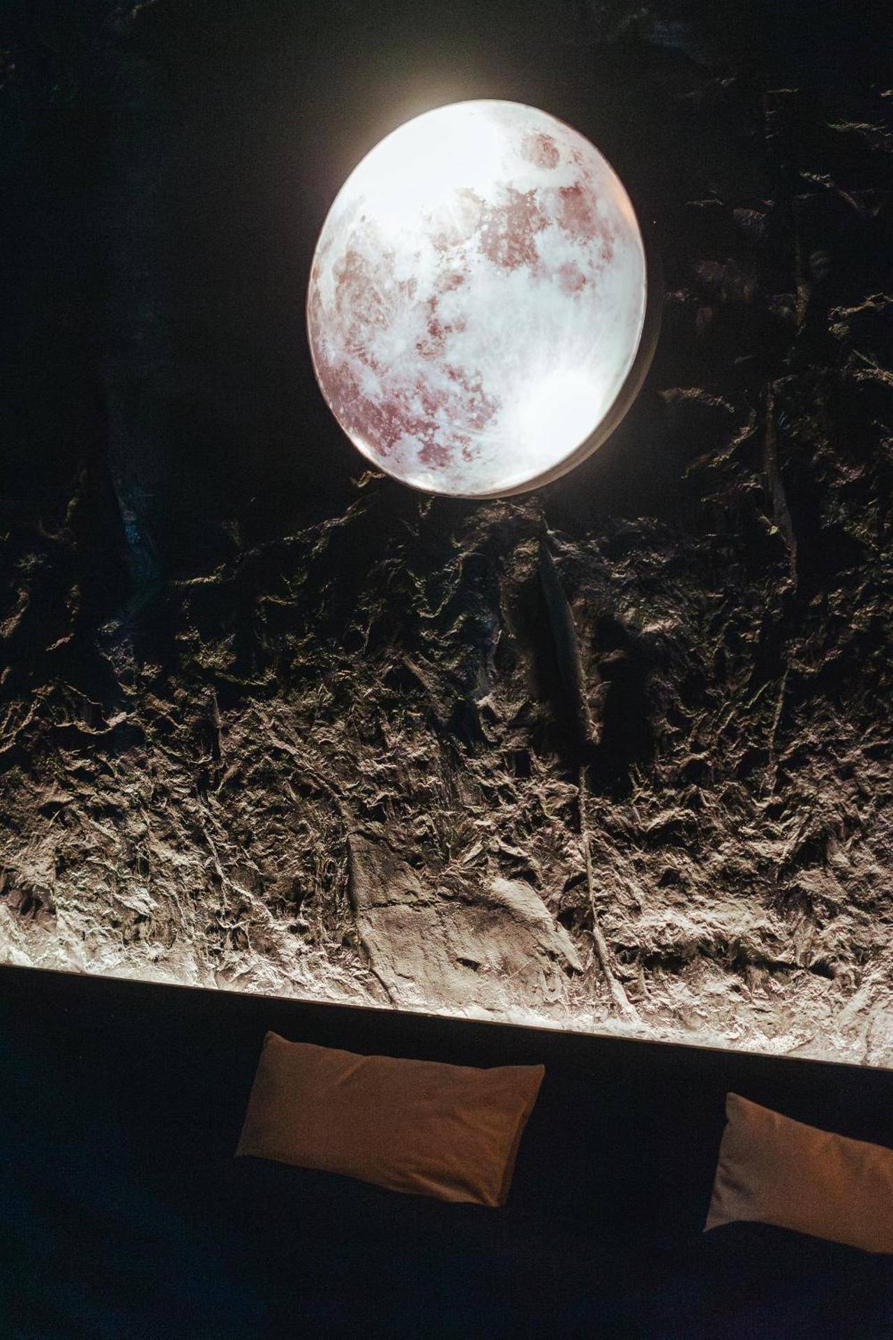 Photo du logement - Suite Intemporelle