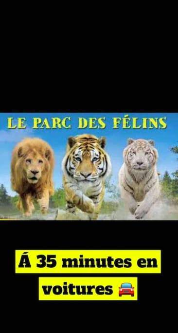 Photo du logement - Suite avec Jacuzzi privé 20min de Paris - Melun