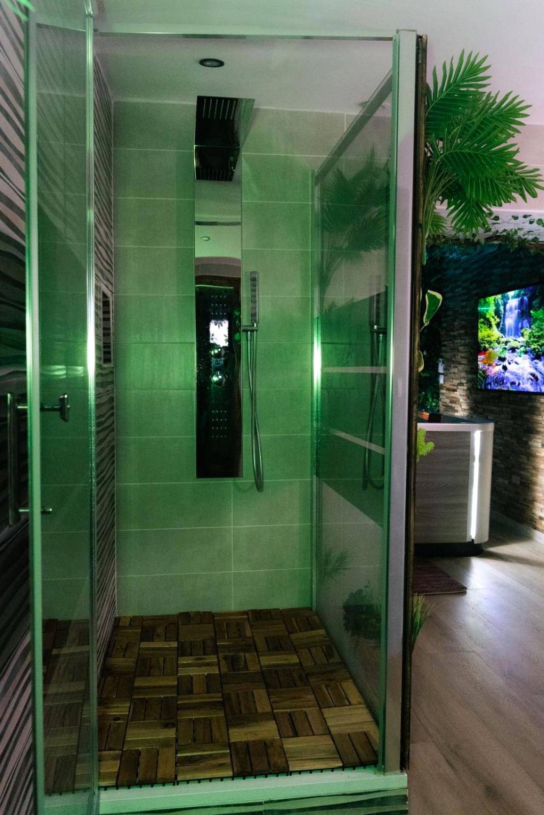 Vue interieure - Suite Jungle Room