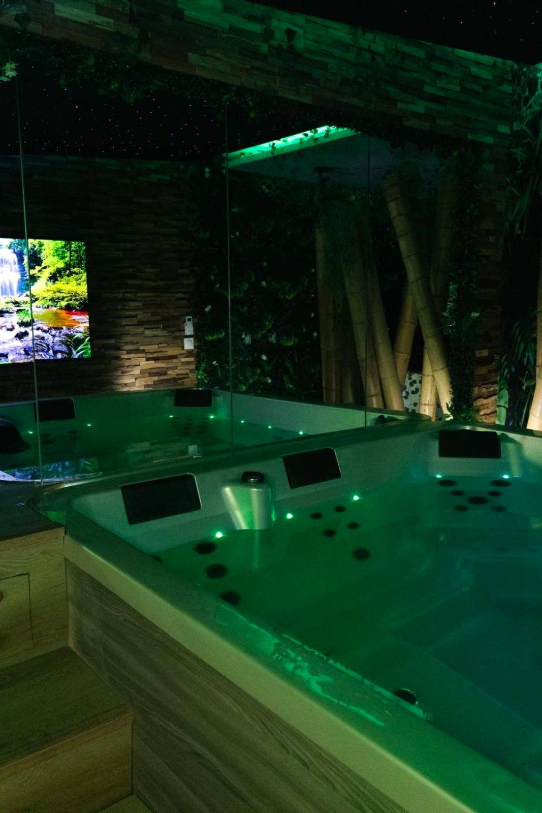 Autre vue interieure - Suite Jungle Room - Perpignan