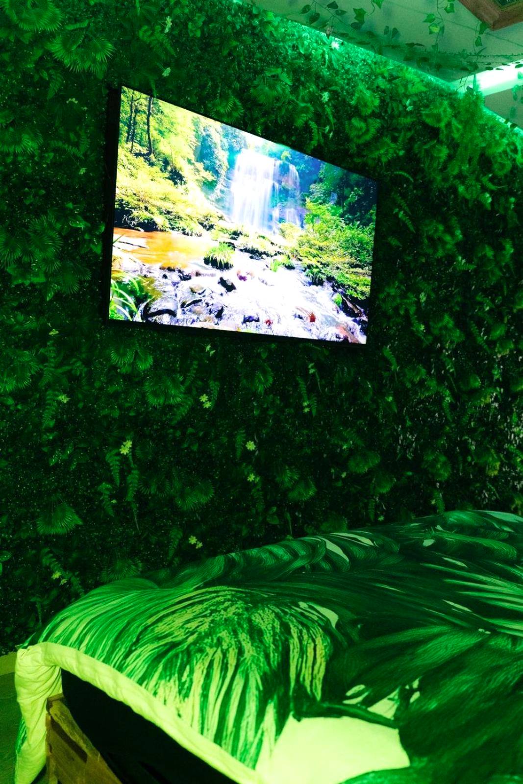 Photo du logement - Suite Jungle Room