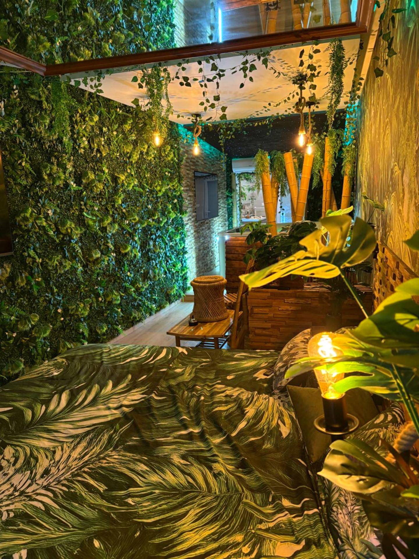 Photo du logement - Suite Jungle Room - Perpignan