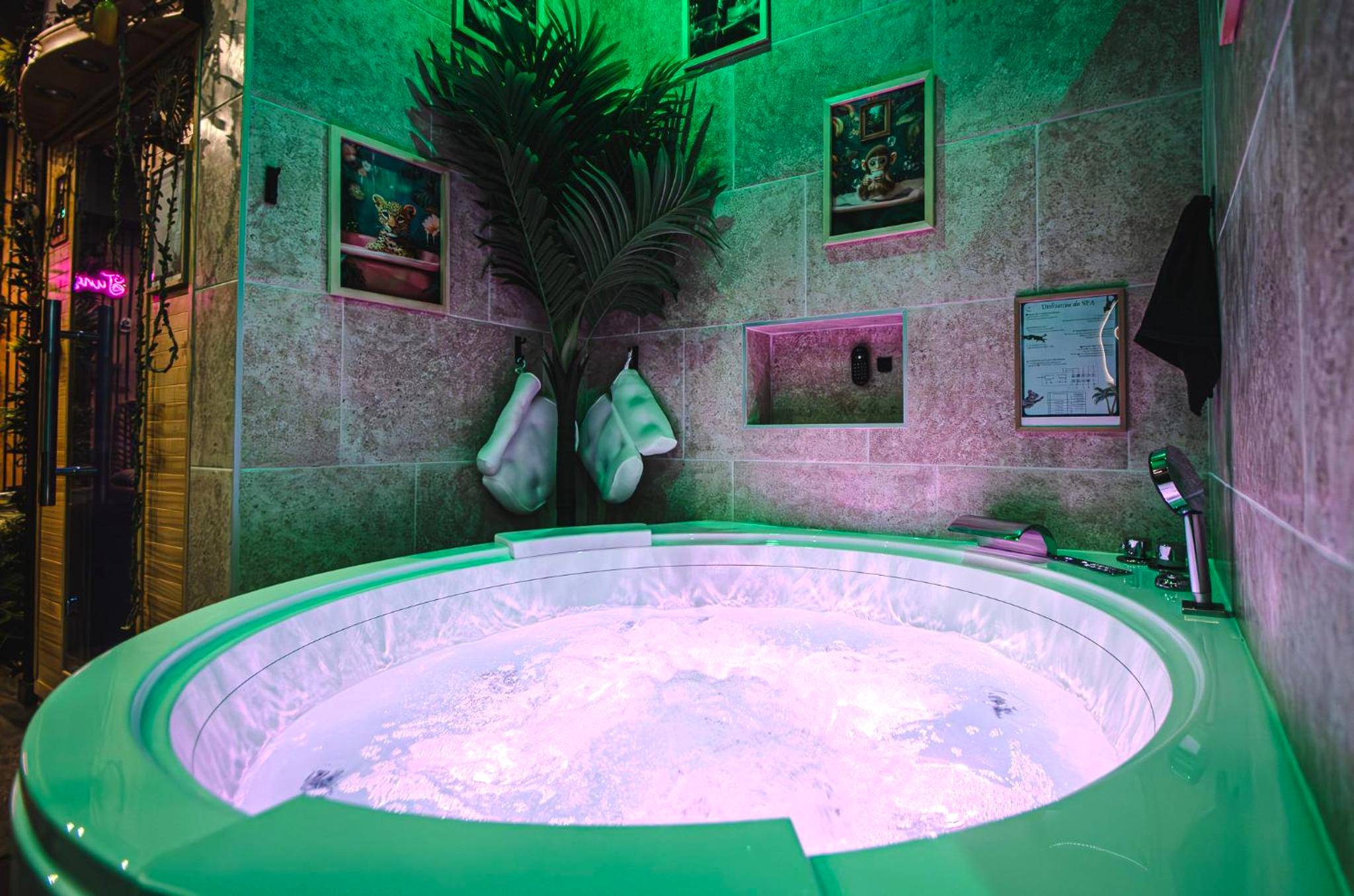 Photo du logement - Suite Jungle Spa - Sauna & Balnéo