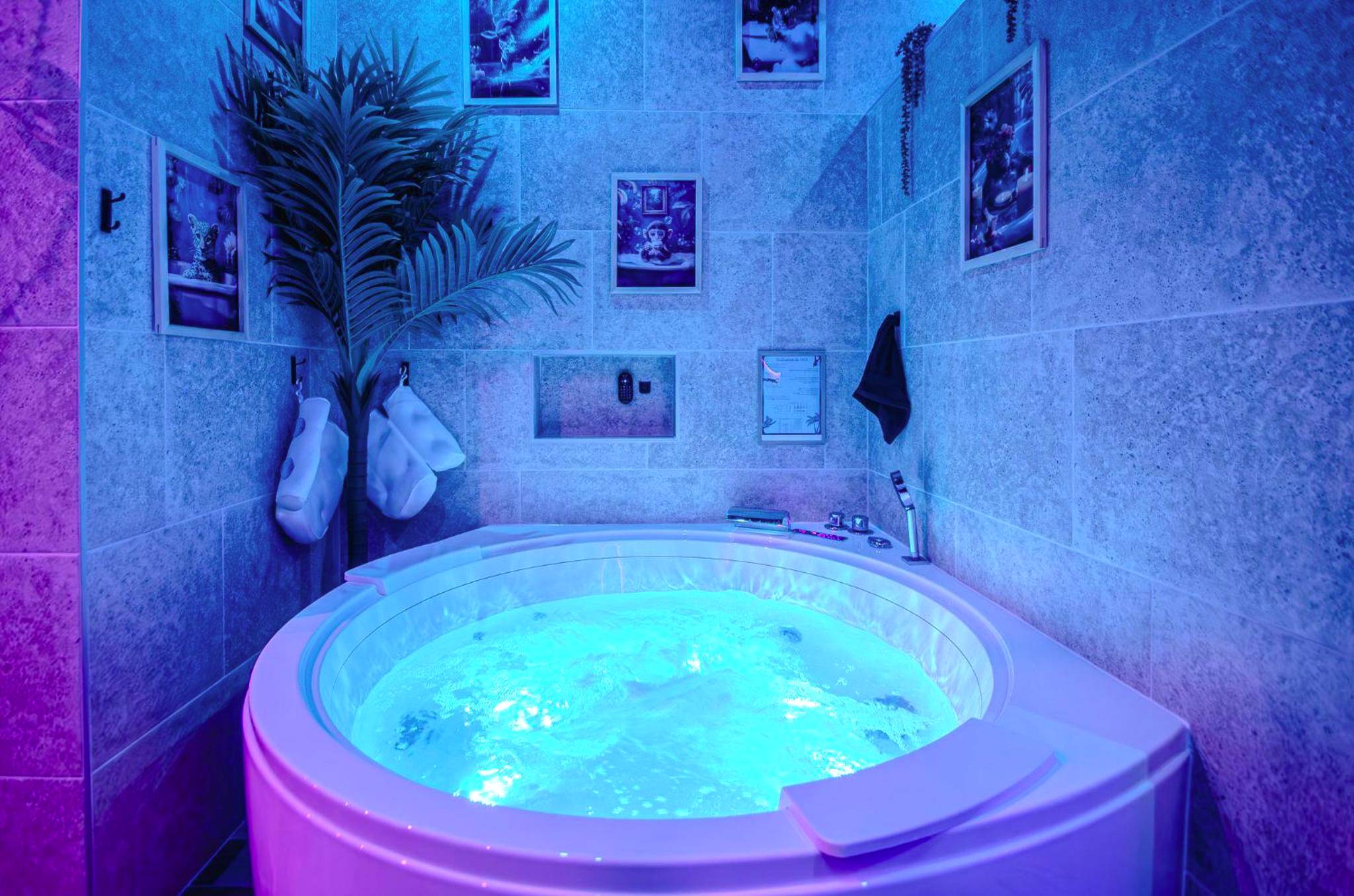 Photo du logement - Suite Jungle Spa - Sauna & Balnéo