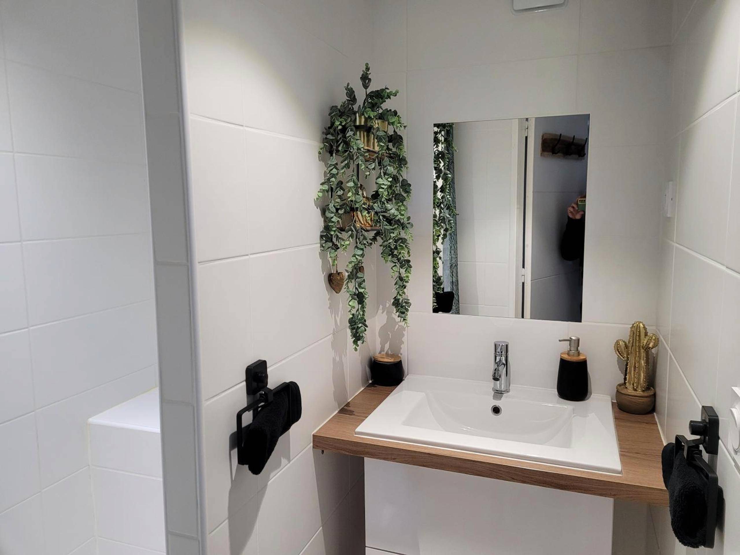 Salle d'eau moderne avec vasque et plantes - Suite & SPA Just Dream 28