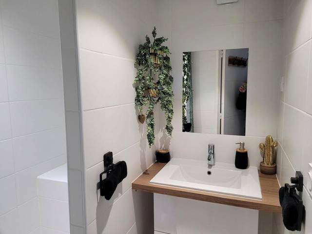 Salle d'eau moderne avec vasque et plantes - Suite & SPA Just Dream 28