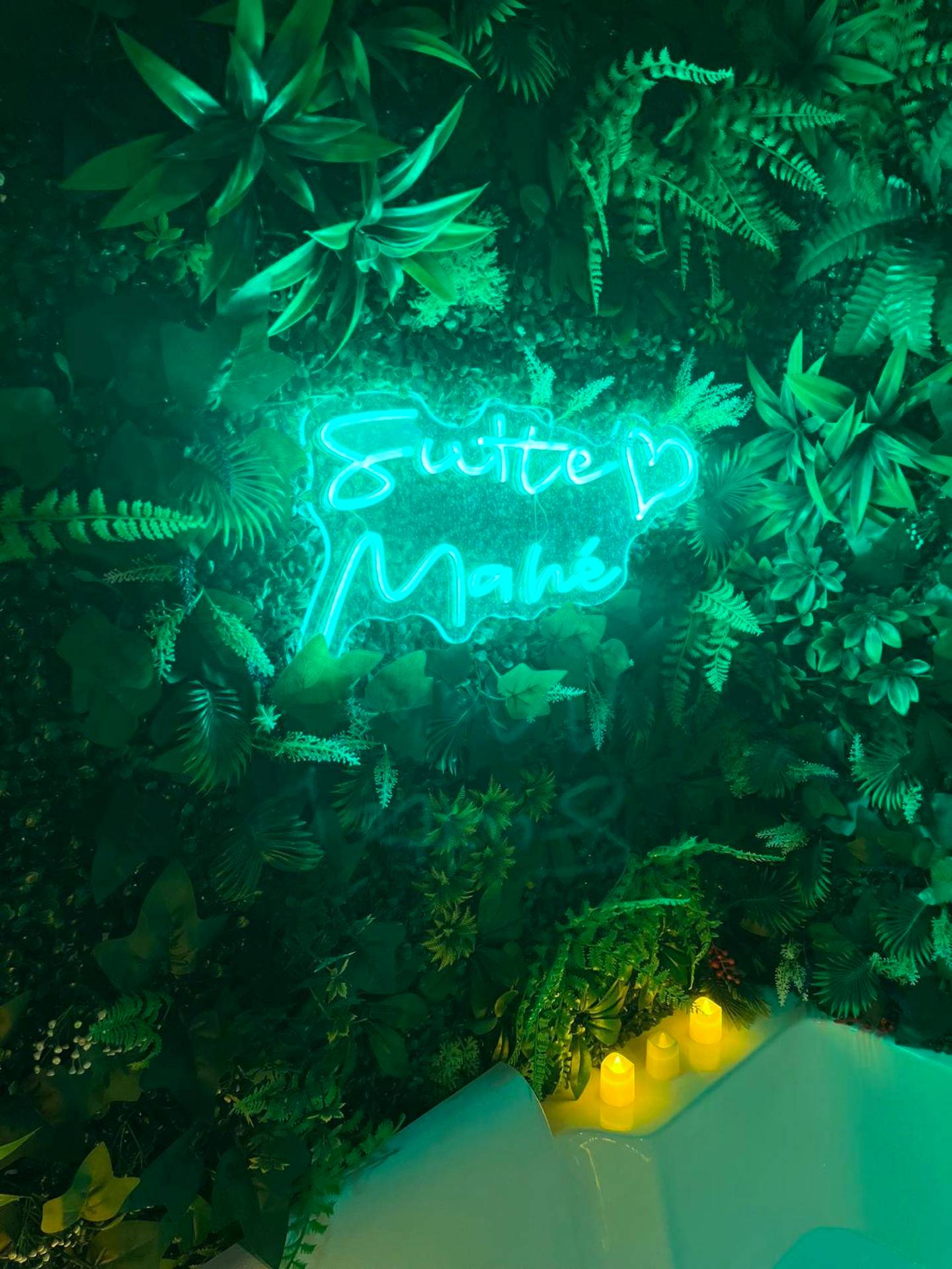 Photo du logement - Suite Mahé